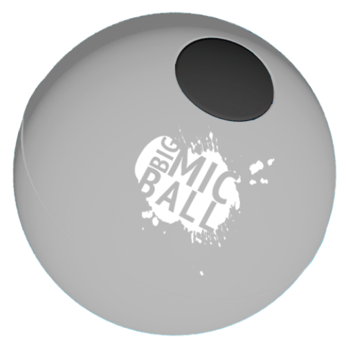 Big Mic Ball – Throwable Microphone Ball for Conferences & Events